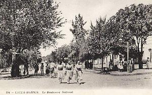 Marnia 255